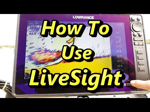 How to Use a HDS Live - Full Live Sight Tutorial