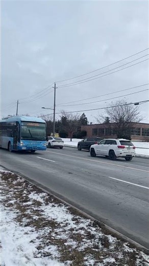 Van Hool A330 in Viva paint #shorts #a330