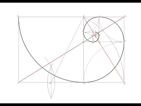 Espiral Áurea (Rectángulo Áureo)