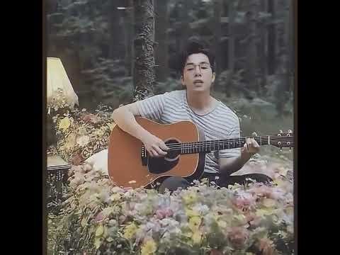 AI CHO AI - COVER - SON