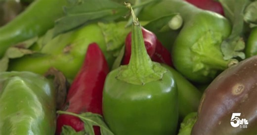 WATCH: Pueblo's chile season begins with planting, one farmer is confident this season