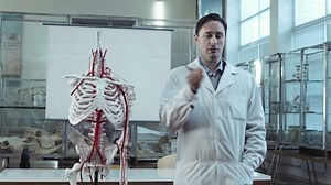 Free Teacher Videos: 4K & HD | No Watermark | Download Now