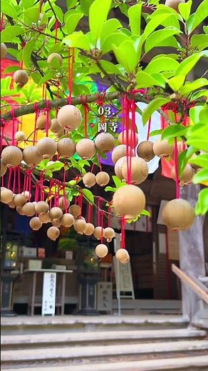 日本始まりの地「明日香村」おすすめ5選🌿