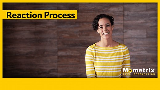What is the Process of a Reaction? (Video)