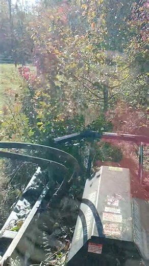 21K views · 166 reactions | Done a little project yesterday clearing a fence row and property line up. It's definitely a little easier when you can see what you're doing but unfortunately that's not always the case. But we got it done and now it's ready for the new fence. Give us a call for your next project 859-991-5152 | C.S. Properties | Facebook