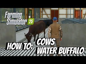 How To: Cows And Water Buffalo - Farming Simulator 25 FS25 XBOX