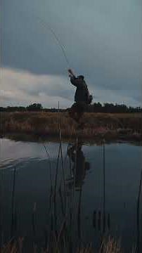 The Basin: Conserving Native Trout Habitat in the Colorado River Watershed