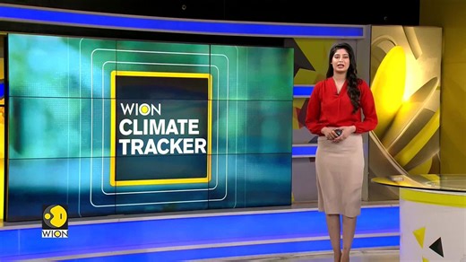 Spring blooms in Amsterdam: Millions of flowers bloom near Amsterdam