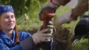 Chodzi o to, że praca ma być wykonana 👩🏼‍🔧 Poznajcie Olę już o 18:00 w #DiscoveryChannel | Discovery Channel Polska