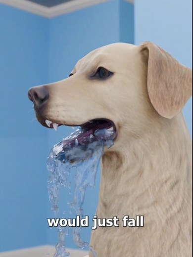 How Dogs Drink Water: Understanding Their Unique Method