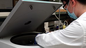 An Automated Differential Nuclear Staining Assay for Accurate Determination of Mitocan Cytotoxicity