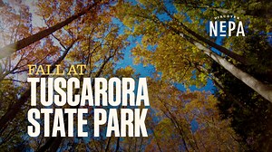 31 reactions · 8 comments | Fall beauty was on full display at Tuscarora State Park, in Barnesville! The stunning park features miles of trails that are perfect for enjoying all the great outdoors has to offer.  #DiscoverNEPA | DiscoverNEPA | Facebook