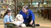 Chica hispana leyendo en la biblioteca con perro de terapia