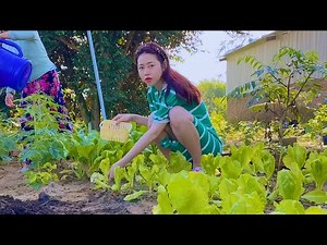 Vẫn Chưa Đến Tết Mà Ta