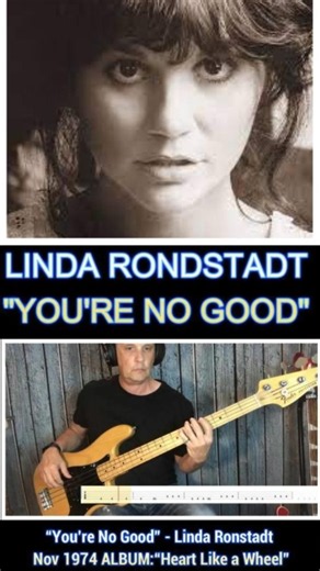 YOU'RE NO GOOD - LINDA RONSTADT | FRANKS BASS COVERS #shorts2026