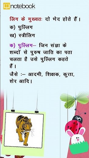 CBSE Class 3 Hindi Grammar Ling | Learn with Notebook – Easy & Fun Learning
