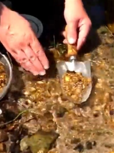 Mastering Gold Panning Techniques for Beginners