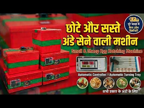 Desi Murgi Palan: Best Mini Incubator for Home Use | 90% Hatching Result