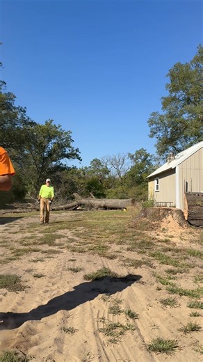 4 comments | Drop it like it’s hot! Dead oak off the shed!! | TAKD Tree Service | Facebook