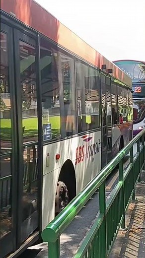 SBS Transit Scania K230UB Euro 4 Batch 1 - SBS8086B 63