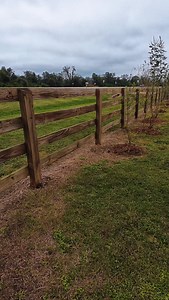 7.8K views · 248 reactions | Easiest Tree I Ever Planted! | Texas Garden Guy | Facebook