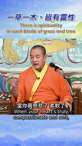 1.2M views · 110K reactions | Respect and Nurture The Soul of Every Being Discover The Essence of Life Through Empathy and Listening 感受天地和諧之美 尊重一草一木 溝通萬物生靈 得天地護佑 | 金菩提宗師 Grandmaster JinBodhi | Facebook