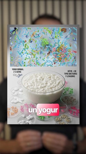 Marcos Vázquez on Instagram: "Aunque ya lo vemos en casi todos los supermercados, el kéfir sigue siendo un gran desconocido. No es yogur. Un yogur típico tiene 2–3 cepas bacterianas. El kéfir es un ecosistema vivo, con 30+ bacterias y levaduras. 👉 ¿Por qué importa? • La fermentación reduce mucho la lactosa → suele ser bien tolerado. • Mejora la microbiota intestinal… y también la oral. • Modula el sistema inmunitario. • Refuerza la barrera intestinal. • Puede influir en el estado de ánimo vía e