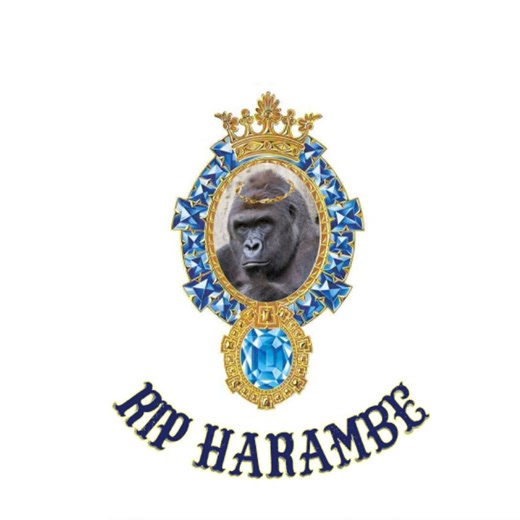 Elon Musk - RIP Harambe Lyrics