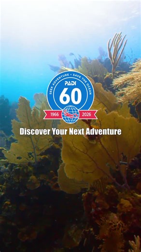 PADI on Instagram: "When PADI was founded in 1966, scuba diving was considered an extreme sport. Training was physically grueling, and access to the underwater world was limited. Two friends, John Cronin and Ralph Erickson, saw a different future. One where diving was built on professionalism and safety, and open to anyone with a sense of curiosity and adventure. Sixty years later, PADI has issued more than 30 million certifications and has become the most recognized scuba diving brand in the wo