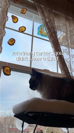Happy World Veterinary Day! 🩺🐾 #vetmed #veterinary #worldveterinaryday