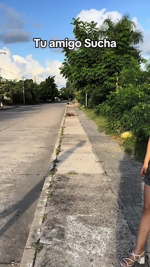 Concierto de Tu Amigo Sucha en Santa Cruz, Bolivia