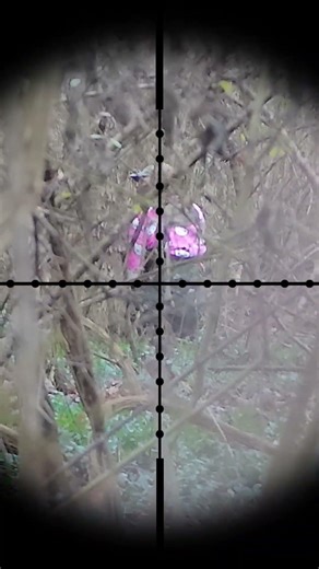 AIRSOFT FOREST GAMEPLAY - HPA (part 1)