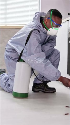 Emergency Pest Control in San Antonio, Texas | 24/7 Exterminator – Call Now