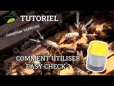 Comptage VARROAS : comment utiliser Easy Check ? - Tuto vidéo NATURAPI