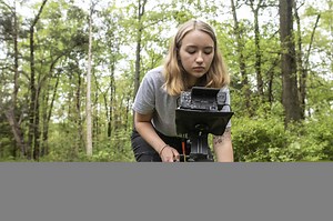 How do animals see the world? New camera system captures how bees, birds and more perceive colour