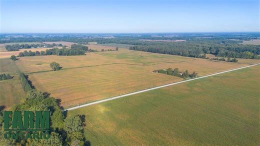 📍29182 Zone Rd 4, Thamsville ON 💲$1,900,000 🌱This Farm property near Thamesville, ON is a 100 acre parcel with 95 acres of well drained Workable land with good outlets. The soil type is a Walsingham Sandy Loam that would be great for growing traditional cash crops such as Beans and Corn but also would be well suited to specialty vegetable crops like Tomatoes and Sweet corn, etc. The Current owners have taken exceptional care of the land here with full soil samples available for review. This i