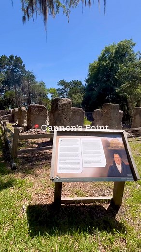 24K views · 475 reactions | You’ll want to add Cannon’s Point to your St. Simons Island bucket list! | St. Simons Island, Georgia | Facebook