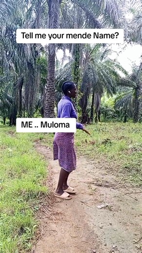 3.1K views · 130 reactions | Tell me your mende name  | Mende Cultural Center | Facebook