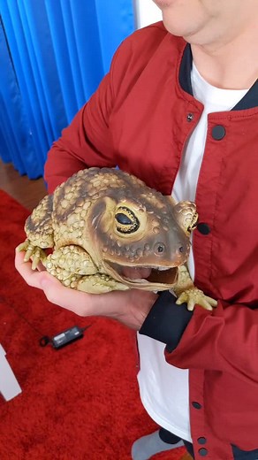 jesseandmike on TikTok