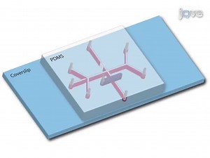 A Microfluidic-based Hydrodynamic Trap for Single Particles