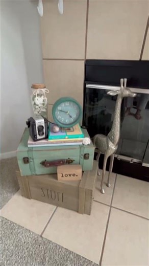 Decorating with vintage cameras