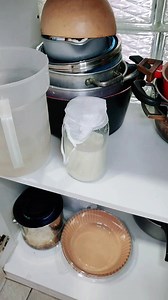 Como hacer Yogur de Búlgaros (kefir) en Casa probihoticos Naturales 😍 | Belleza Natural by Miranda