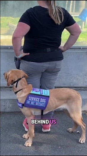 My most used service dog task!