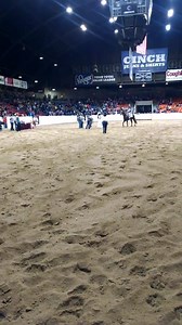 42K views · 1K reactions | Fredrick Win rocks the Nonpro Freestyle Reining and comes out on top! Congratulations!!! | All American Quarter Horse Congress | Facebook