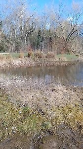 Festival gardens lake will hopefully get sortèd one day I'm not blaming anyone by the way :) | In my liverpool home