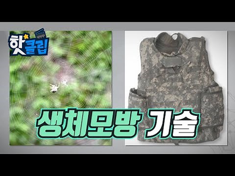 자연을 따라 한 생체모방 기술 [핫클립] / YTN 사이언스