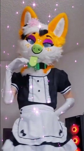 This is my... Alter-Ego UwU #furry #femboy #drake
