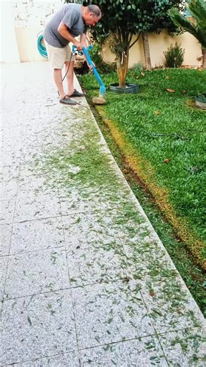 Watering the Lawn: Gardening Tips with a Hose