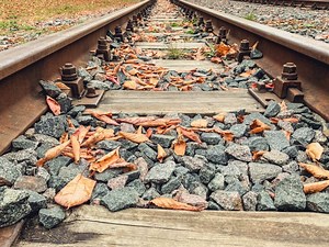 PATCO 'Leaf Season' Train Schedule Begins Oct. 31: See Details