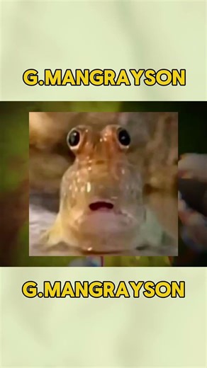 That backfired on me | Hello Neighbor